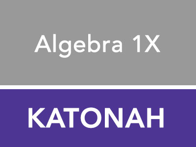 Algebra 1X